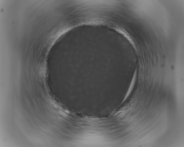 X0000088590724200705251148