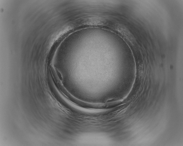 X0000088590727200705251148