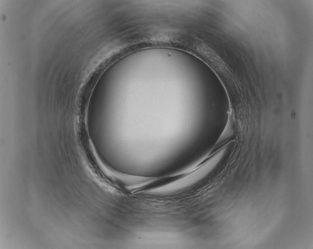 X0000088590728200705251148