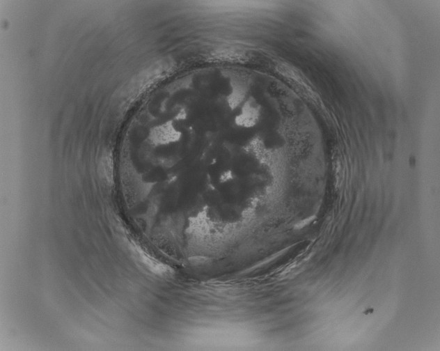 X0000088590729200705251148