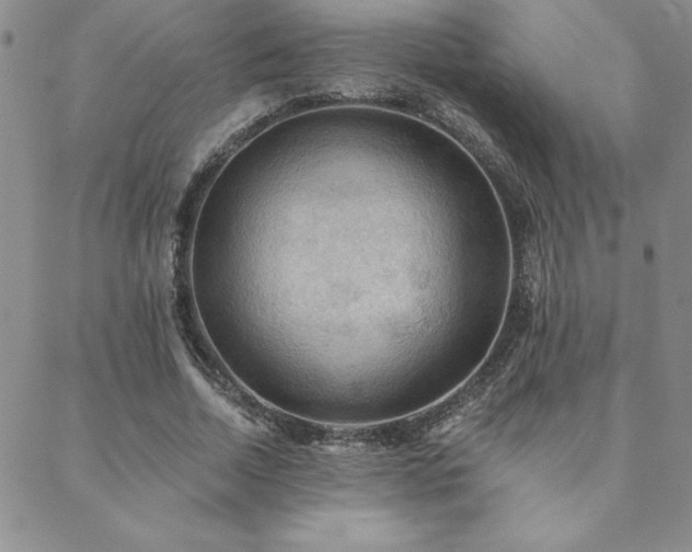 X0000088590730200705251148