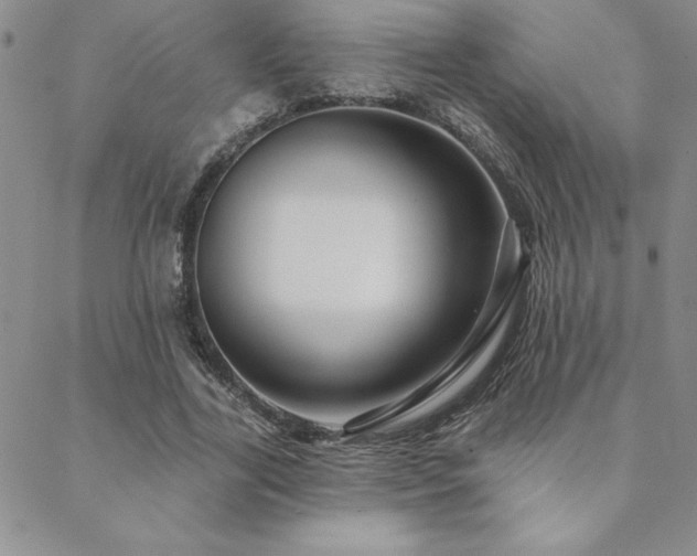 X0000088590731200705251148