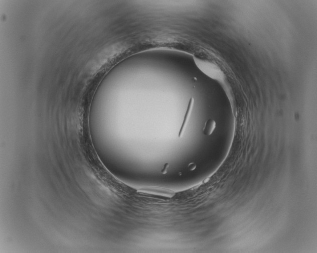 X0000088590732200705251148