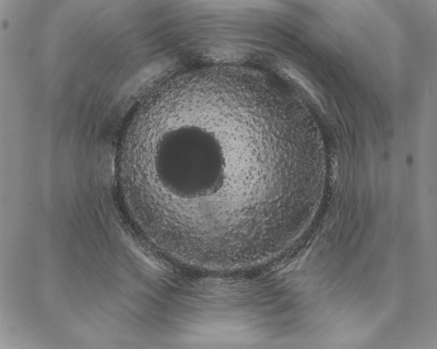 X0000088590733200705251148