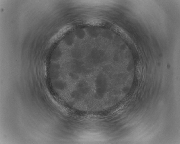 X0000088590734200705251148