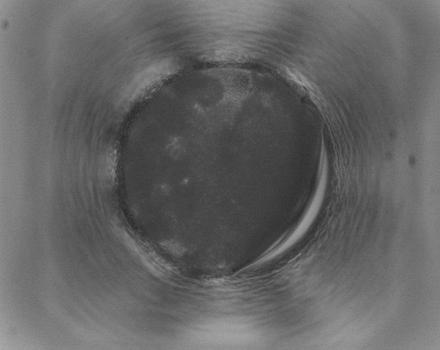 X0000088590735200705251148