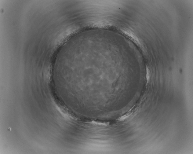 X0000088590736200705251148