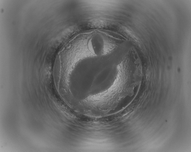 X0000088590737200705251148