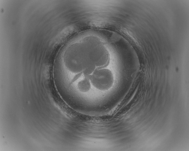 X0000088590738200705251148