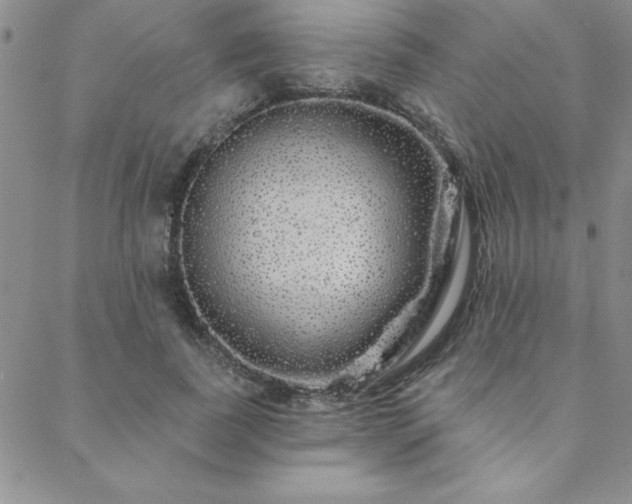 X0000088590739200705251148