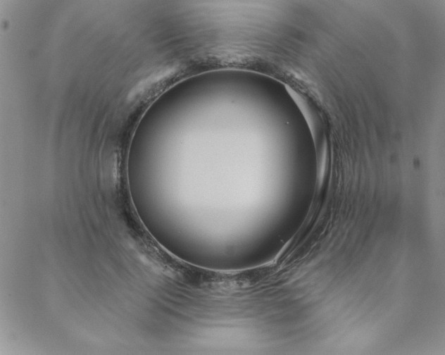 X0000088590740200705251148