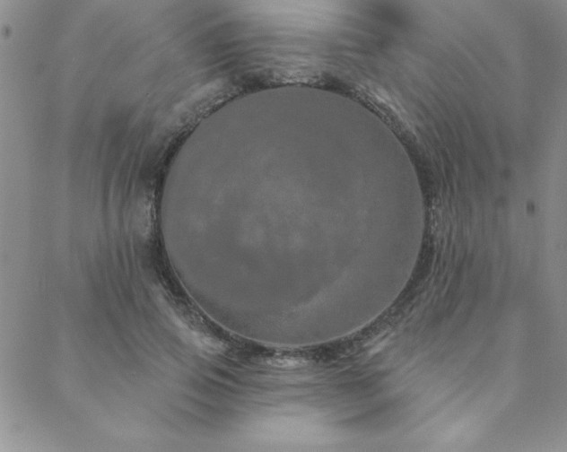 X0000088590741200705251148