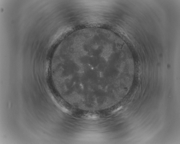 X0000088590742200705251148