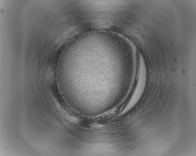 X0000088590743200705251148