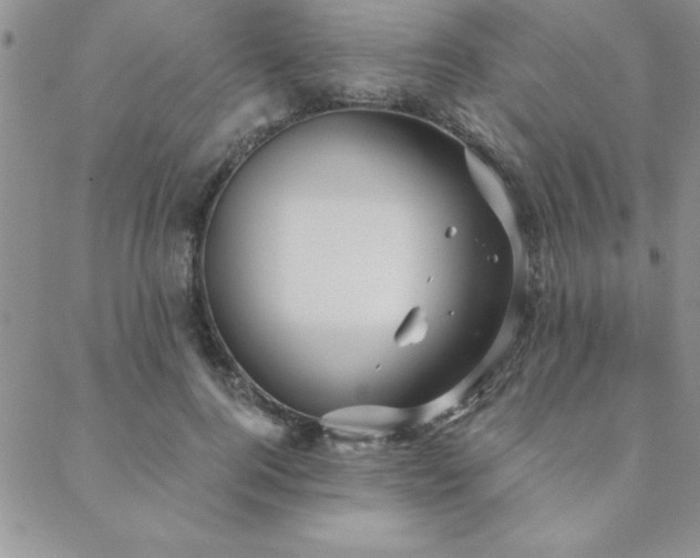 X0000088590744200705251148