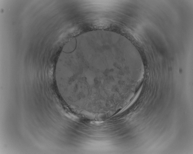 X0000088590745200705251148