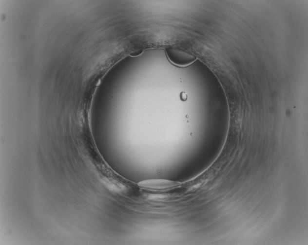 X0000088590746200705251148