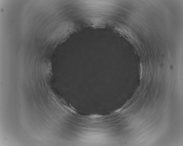 X0000088590748200705251148