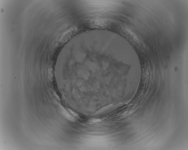 X0000088590749200705251148