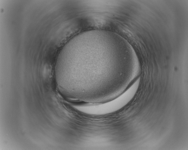 X0000088590750200705251148