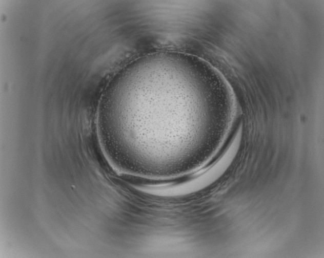 X0000088590751200705251148