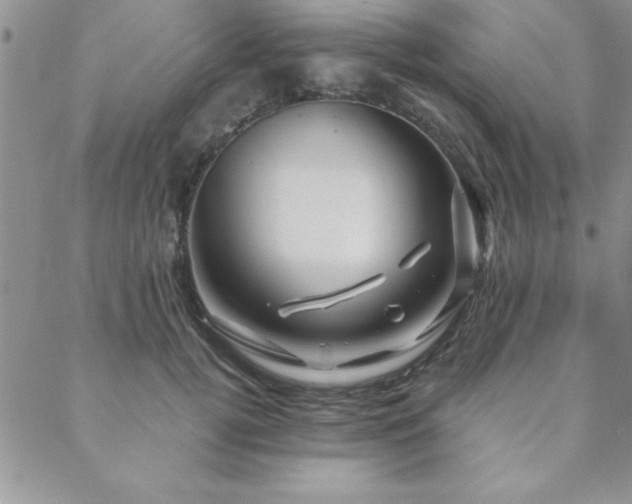 X0000088590752200705251149