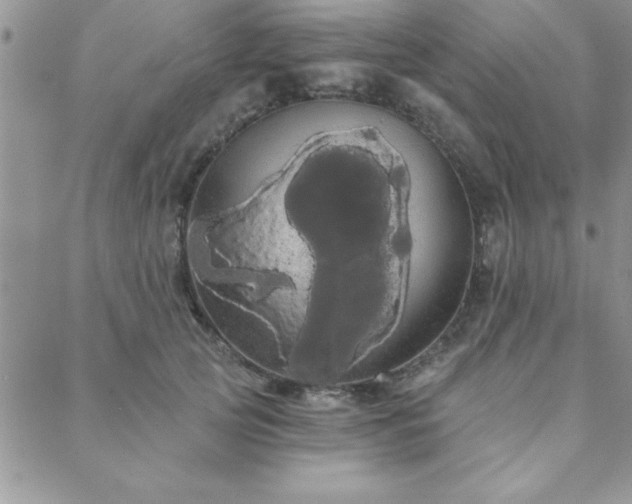 X0000088590753200705251149