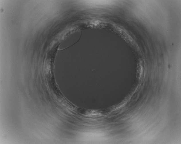 X0000088590754200705251149