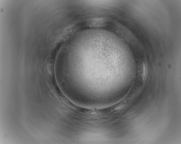 X0000088590755200705251149