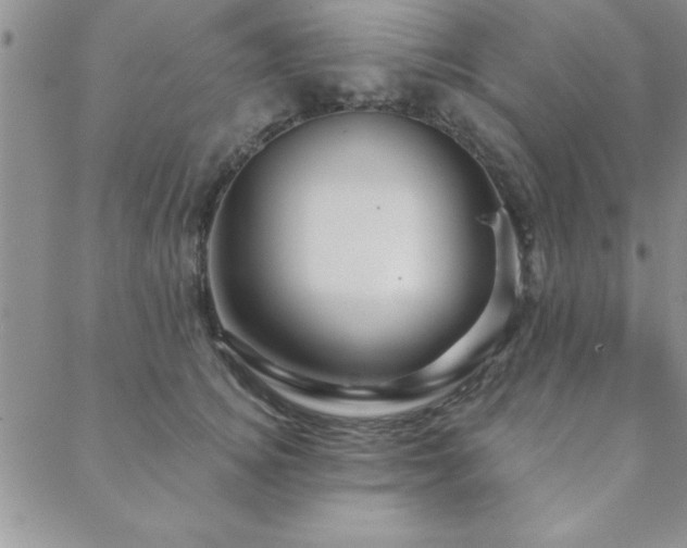 X0000088590756200705251149