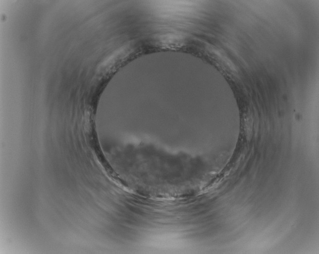 X0000088590757200705251149