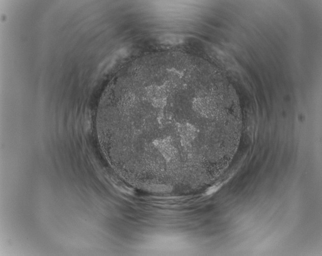 X0000088590758200705251149