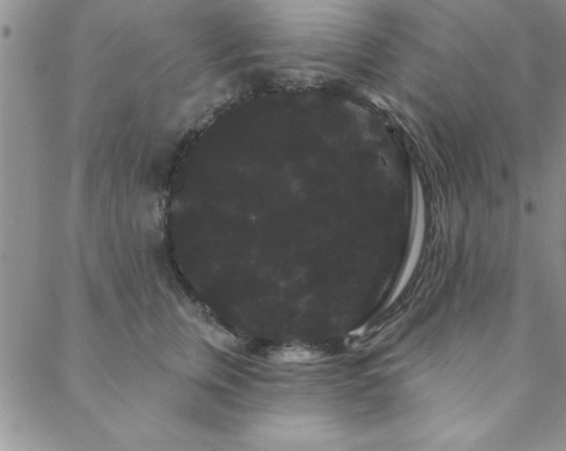 X0000088590759200705251149