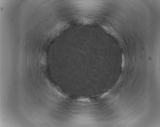 X0000088590760200705251149