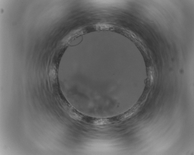 X0000088590761200705251149