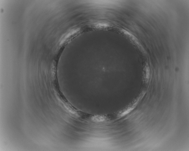 X0000088590762200705251149