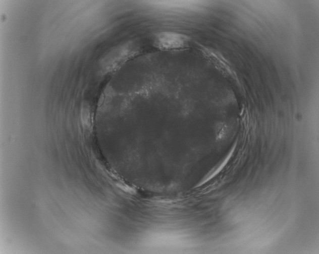 X0000088590763200705251149