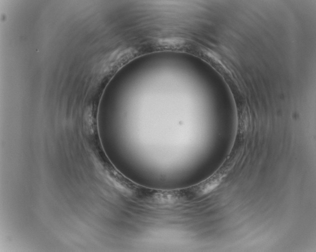 X0000088590764200705251149