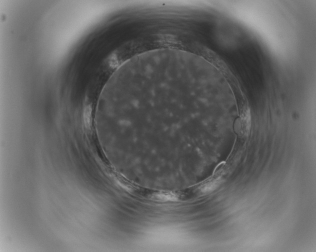 X0000088590765200705251149