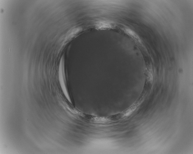 X0000088590766200705251149