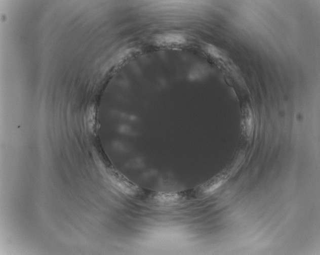 X0000088590767200705251149