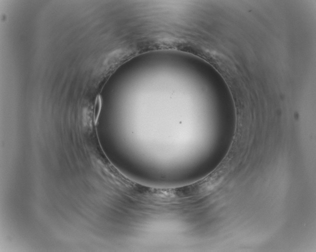 X0000088590768200705251149