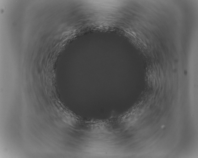 X0000088590769200705251148