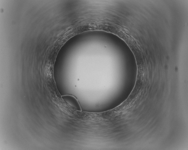 X0000088590770200705251148