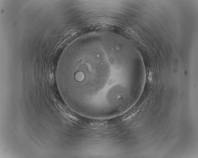 X0000088590771200705251148