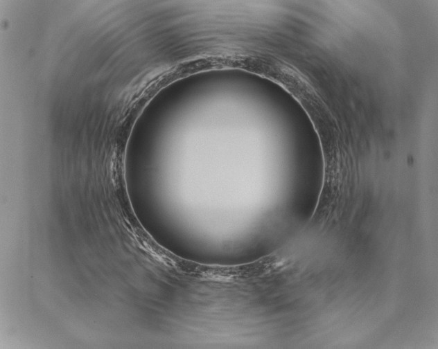 X0000088590773200705251148