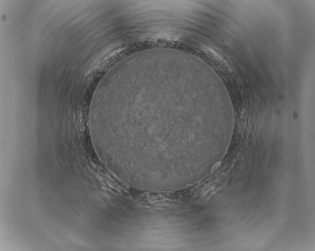 X0000088590774200705251148