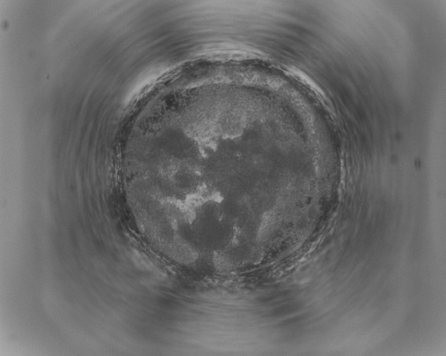 X0000088590775200705251148