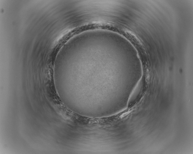 X0000088590776200705251148