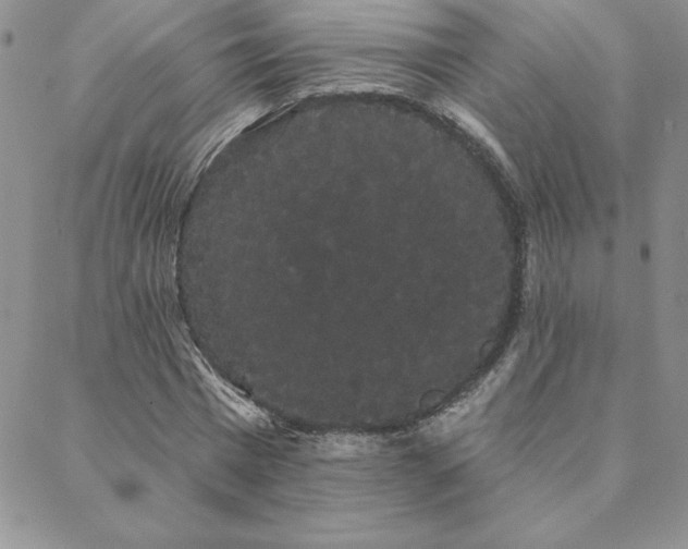 X0000088590777200705251148